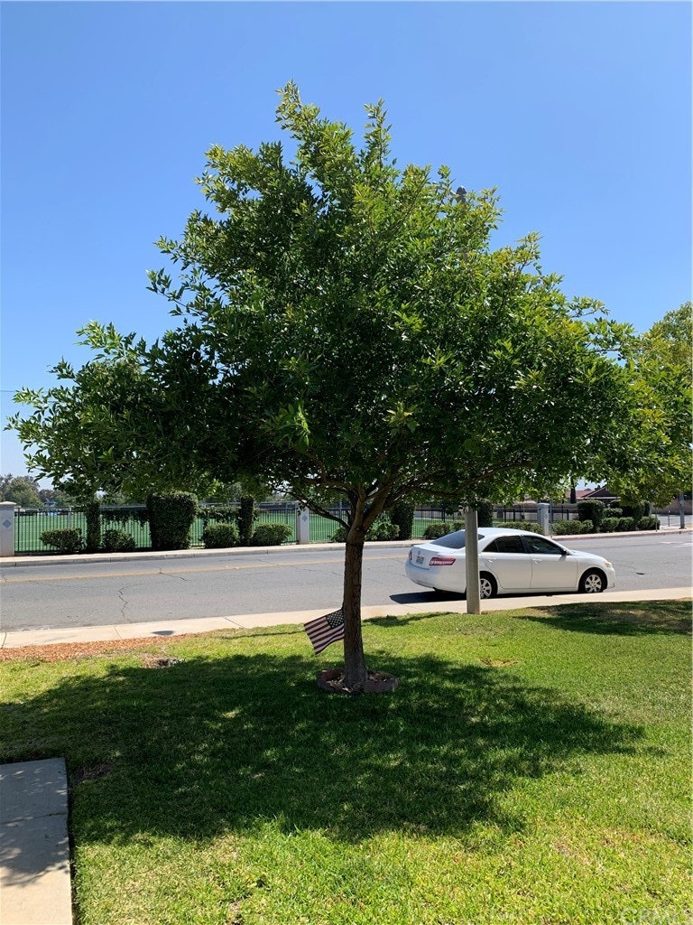 Photo 34 of 40 - 23036 Dracaea Ave, Moreno Valley, CA 92553