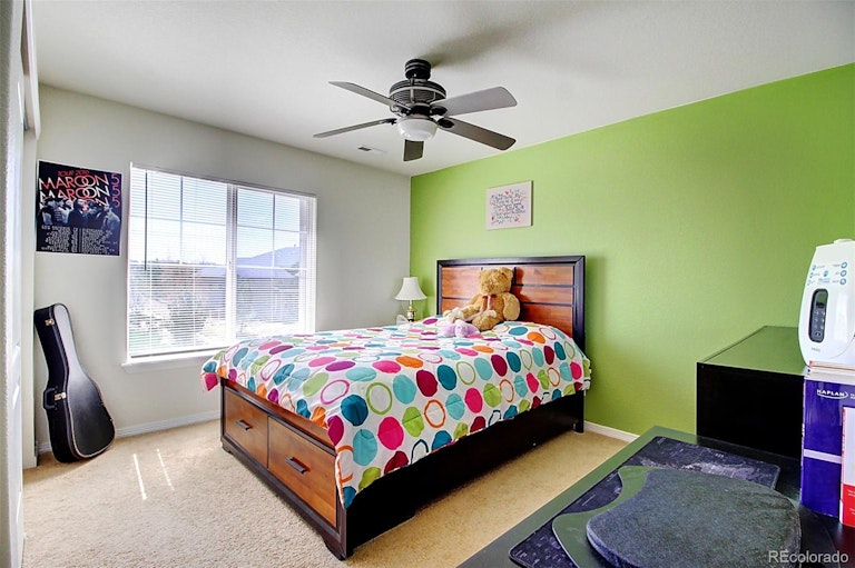 Photo 35 of 39 - 7339 S Ukraine St, Aurora, CO 80016