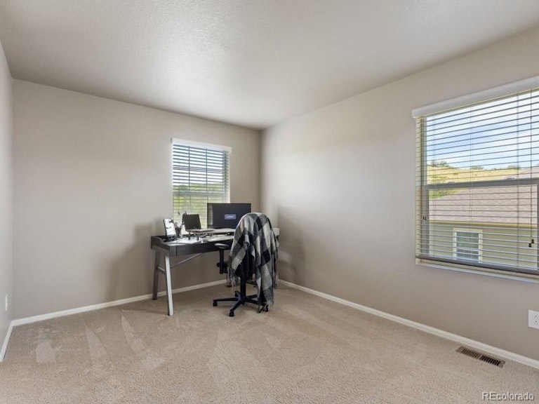Photo 18 of 34 - 2042 Shadow Creek Dr, Castle Rock, CO 80104