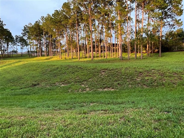 Photo 41 of 43 - 360 Tupelo Cir, Davenport, FL 33897