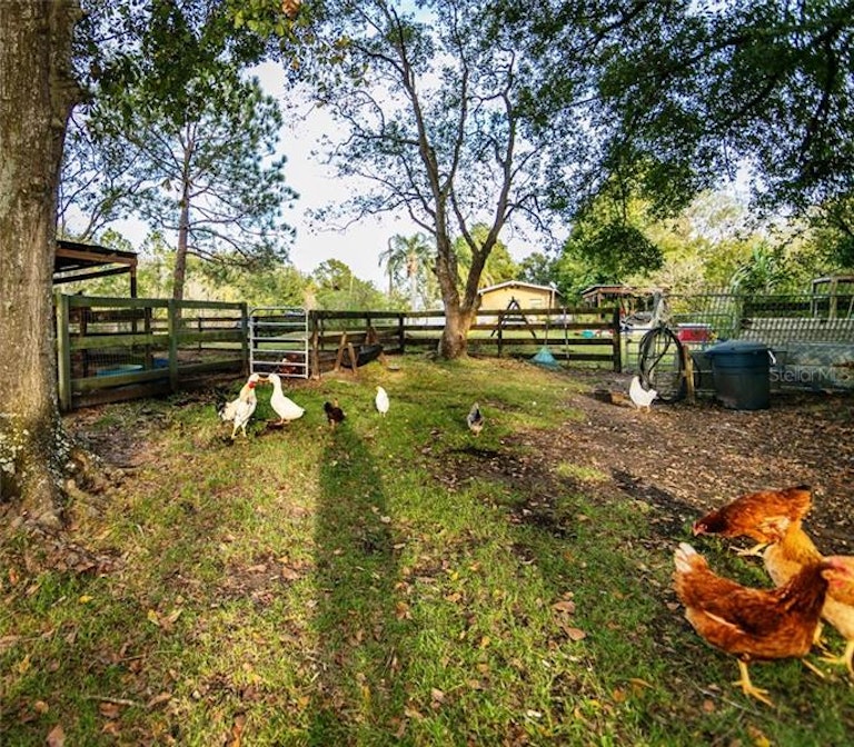 Photo 23 of 25 - 4800 Lake Lowery Rd, Haines City, FL 33844