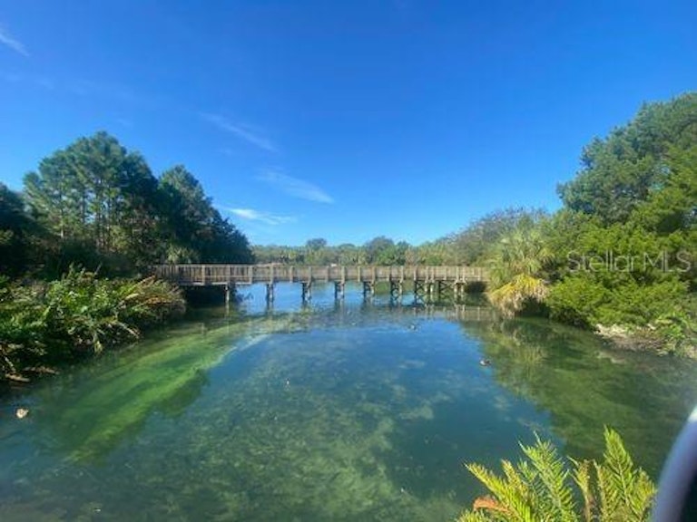 Photo 38 of 42 - 372 Westwinds Dr, Palm Harbor, FL 34683