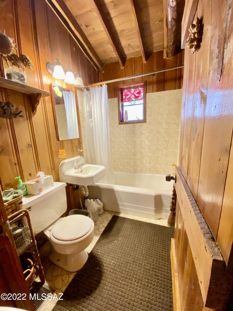 Photo 15 of 32 - 12708 N Sabino Canyon Pkwy, Mount Lemmon, AZ 85619