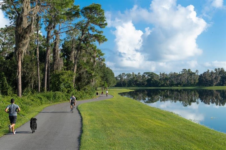Photo 8 of 10 - 4068 Burdick Loop, Odessa, FL 33556