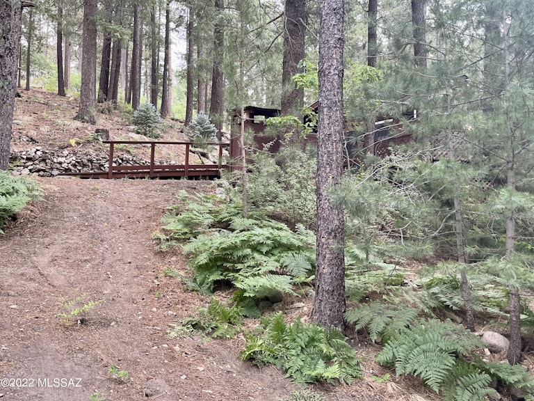 Photo 28 of 32 - 12708 N Sabino Canyon Pkwy, Mount Lemmon, AZ 85619