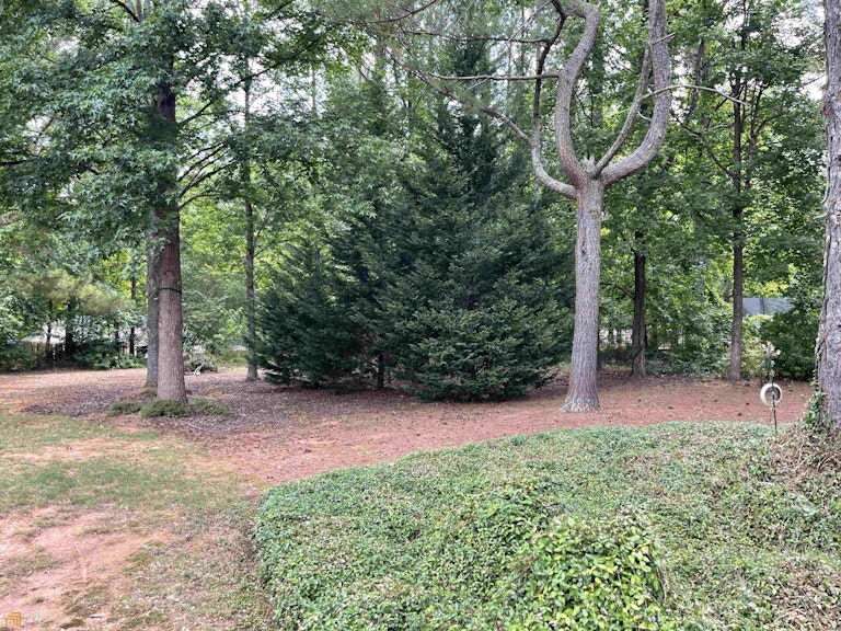Photo 34 of 36 - 528 Butler Bridge Dr, McDonough, GA 30252