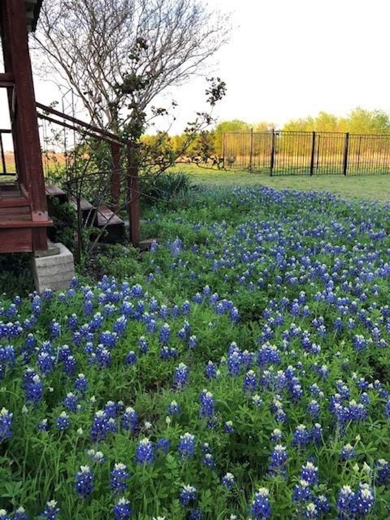Photo 33 of 37 - 17312 Fm 2755, Lavon, TX 75166