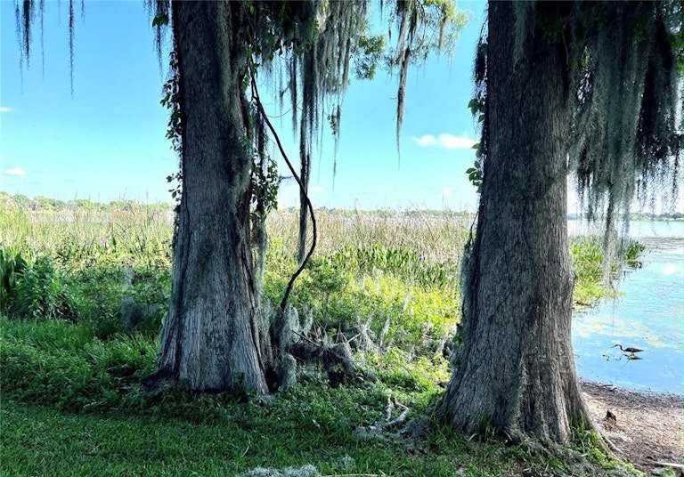 Photo 46 of 48 - 1519 S Lake Shipp Dr, Winter Haven, FL 33880