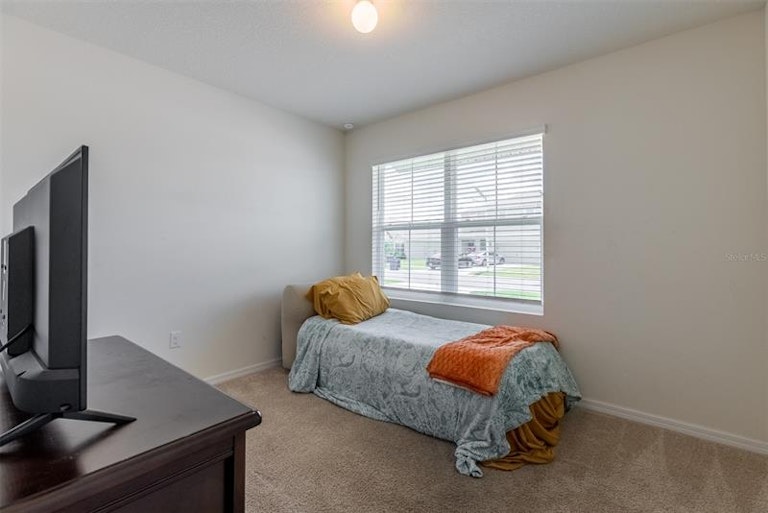 Photo 17 of 34 - 30855 Summer Sun Loop, Wesley Chapel, FL 33545