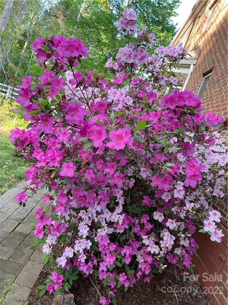 Photo 36 of 40 - 4066 Belle Meade Cir, Belmont, NC 28012