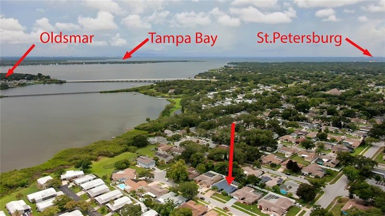 Photo 9 of 99 - 206 Timberview Dr, Safety Harbor, FL 34695