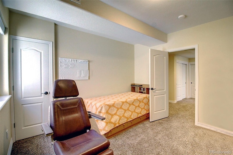 Photo 18 of 39 - 7339 S Ukraine St, Aurora, CO 80016