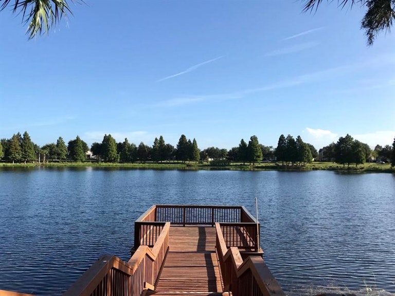 Photo 23 of 32 - 5237 Lemon Twist Ln, Windermere, FL 34786
