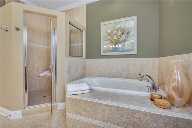 Photo 18 of 25 - 1040 Paseo Del Rio NE, Saint Petersburg, FL 33702