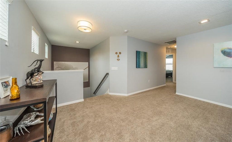 Photo 38 of 53 - 11615 Palmetto Pine St, Riverview, FL 33569