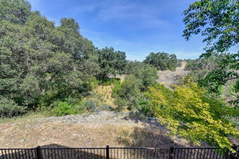 Photo 41 of 42 - 12017 Gold Pointe Ln, Gold River, CA 95670