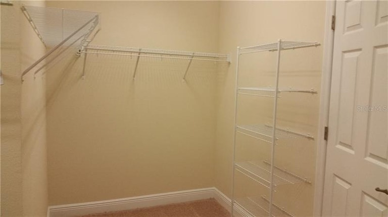 Photo 19 of 25 - 1229 Hillandale Reserve Dr, Tampa, FL 33613