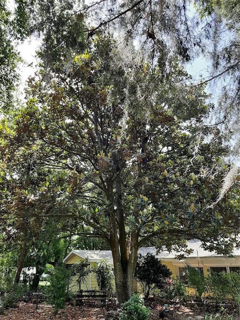 Photo 30 of 83 - 16010 Dora Ave, Tavares, FL 32778