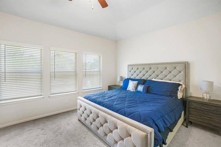 Photo 18 of 31 - 227 Murrieta Ln, Rosharon, TX 77583