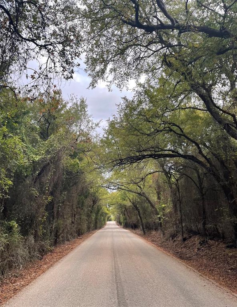 Photo 24 of 24 - 4599 County Road 660, Farmersville, TX 75442