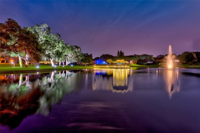 Photo 49 of 54 - 2107 Pinnacle Cir S, Palm Harbor, FL 34684
