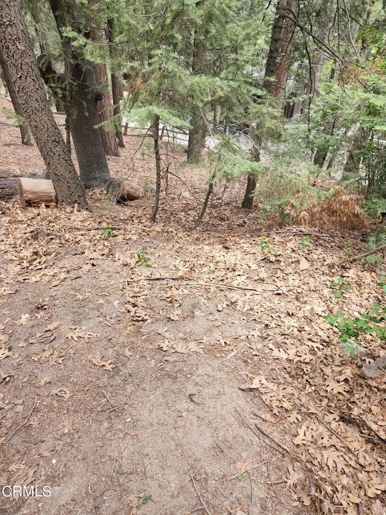 Photo 28 of 30 - 1048 Mercury Way, Crestline, CA 92325