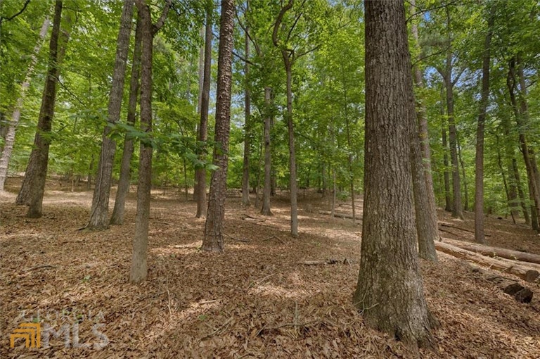 Photo 72 of 80 - 1439 Bailey Farm Dr SW, Marietta, GA 30064