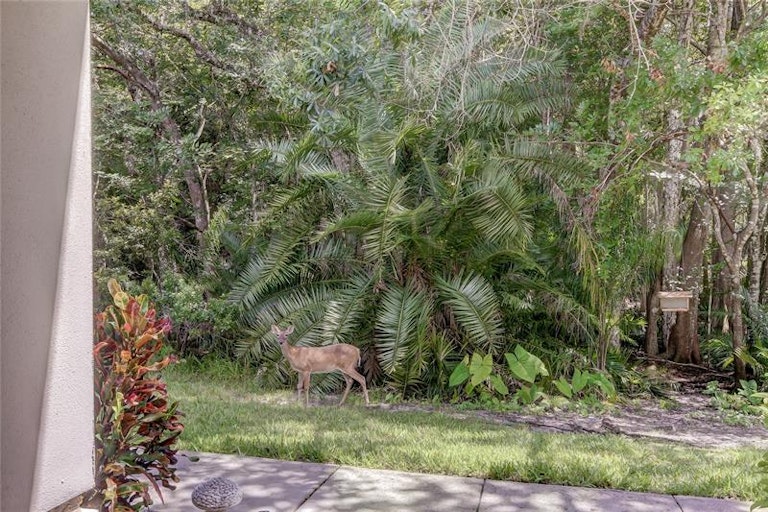 Photo 50 of 58 - 16104 Craigend Pl, Odessa, FL 33556