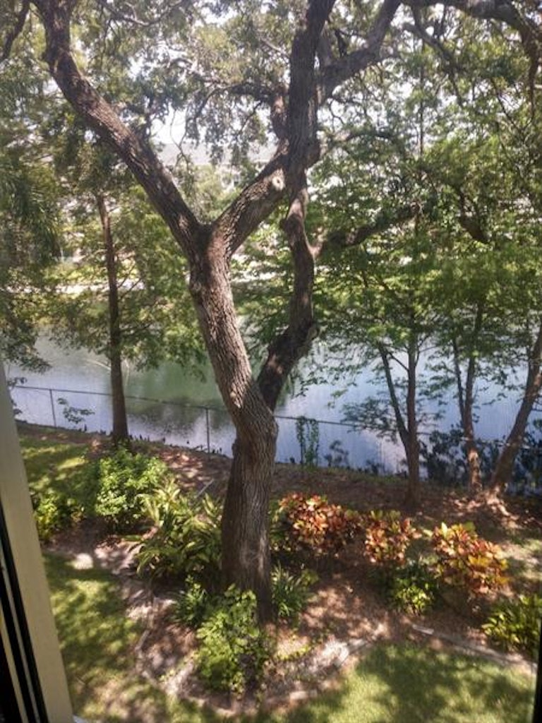 Photo 5 of 27 - 3184 Lake Bayshore Dr #323, Bradenton, FL 34205