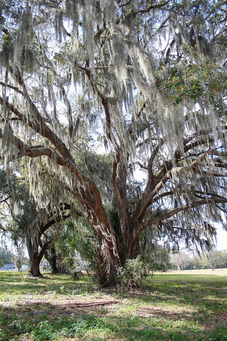 Photo 20 of 68 - 1634 N Combee Rd, Lakeland, FL 33801