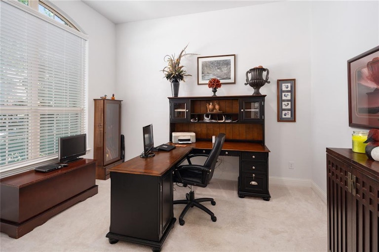 Photo 11 of 40 - 1317 Skyflower Ln, Celina, TX 75009