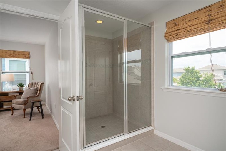 Photo 15 of 42 - 2514 Portico St, Odessa, FL 33556