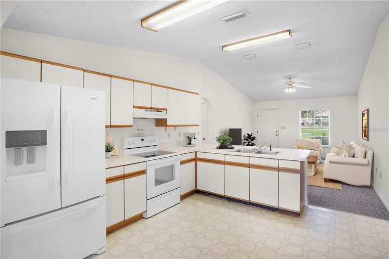 Photo 4 of 31 - 33436 Picciola Dr, Fruitland Park, FL 34731