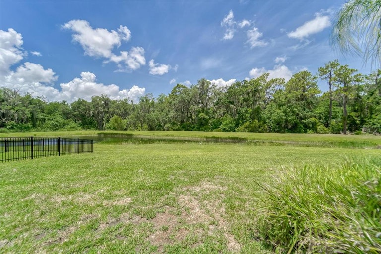 Photo 16 of 76 - 13809 Moonstone Canyon Dr, Riverview, FL 33579