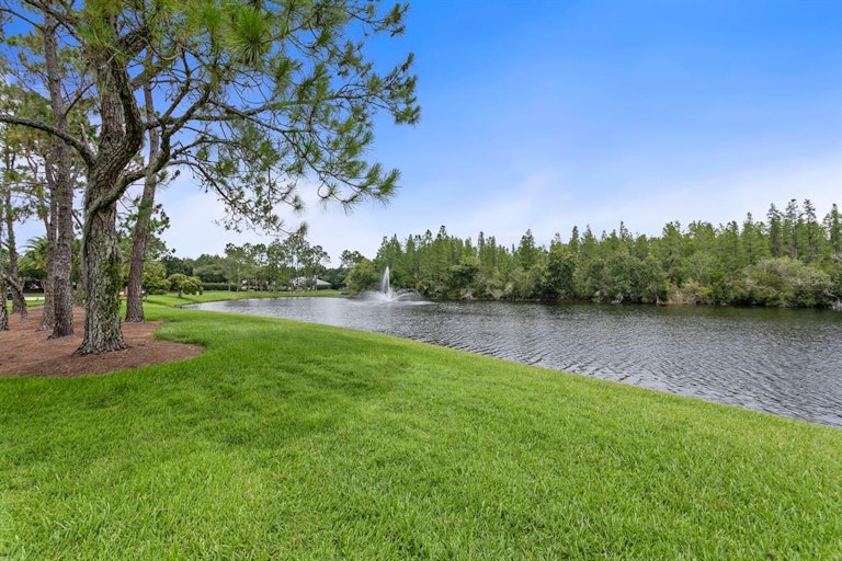 Photo 58 of 68 - 19139 Cherry Rose Cir, Lutz, FL 33558