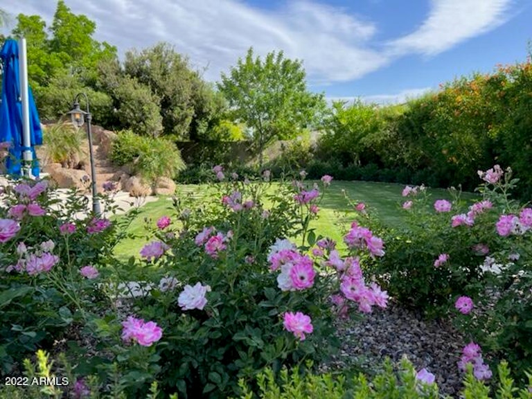 Photo 41 of 44 - 2026 E Avenida Del Valle Ct, Gilbert, AZ 85298
