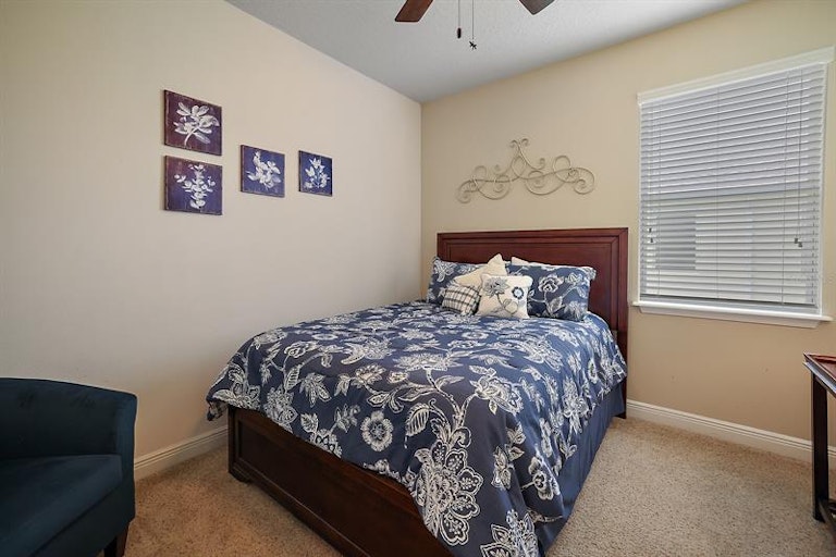 Photo 23 of 39 - 30213 Hackney Loop, Mount Dora, FL 32757