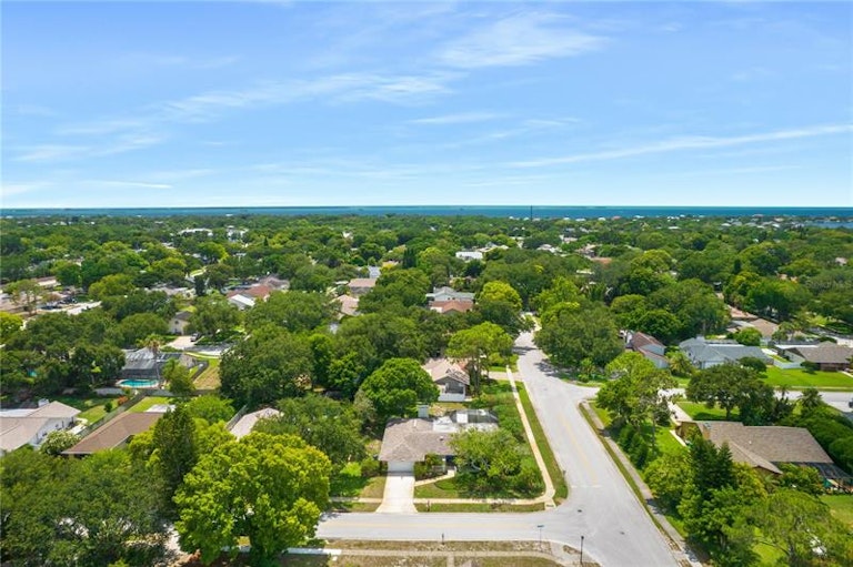 Photo 47 of 50 - 2982 Enisgrove Dr, Palm Harbor, FL 34683