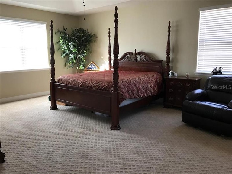 Photo 16 of 25 - 6918 Silver Sage Cir, Tampa, FL 33634