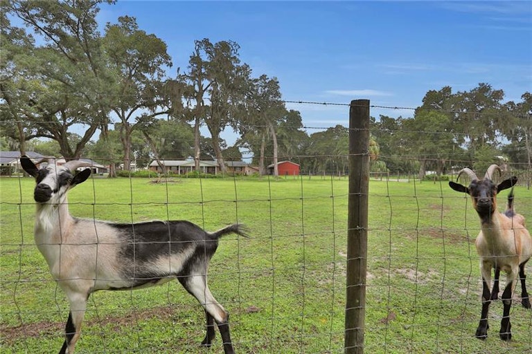 Photo 43 of 44 - 5840 Ross Creek Rd, Lakeland, FL 33810