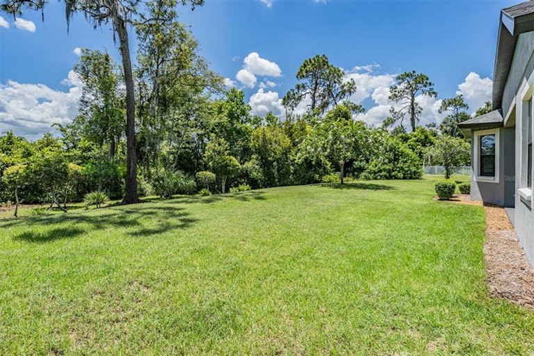 Photo 31 of 41 - 19828 Lonesome Pine Dr, Land O Lakes, FL 34638
