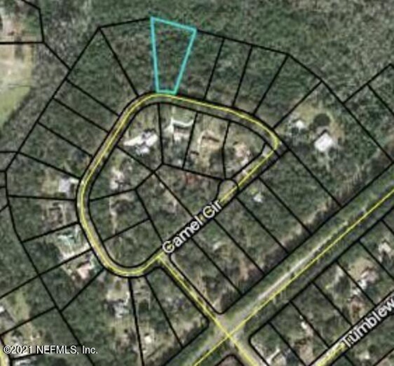 Photo 25 of 27 - 2821 Camel Cir, Middleburg, FL 32068