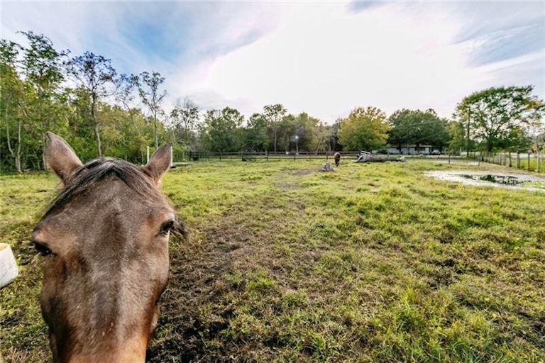 Photo 21 of 25 - 4800 Lake Lowery Rd, Haines City, FL 33844