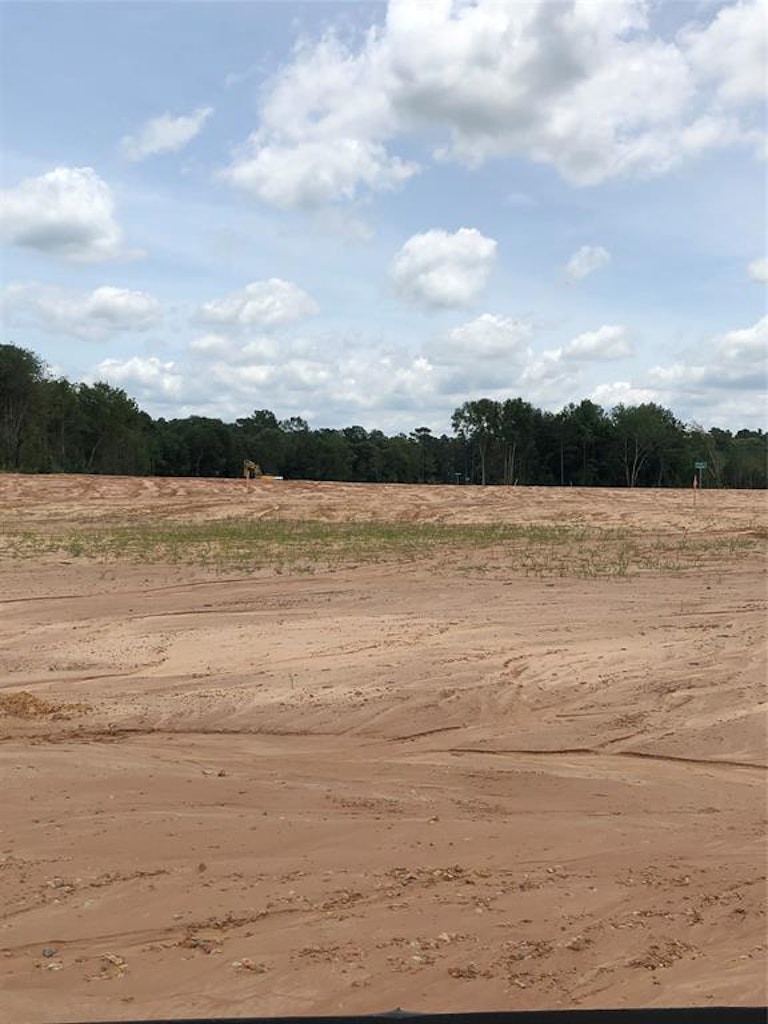 Photo 14 of 14 - 22419 Lost Lantern Dr, Hockley, TX 77447