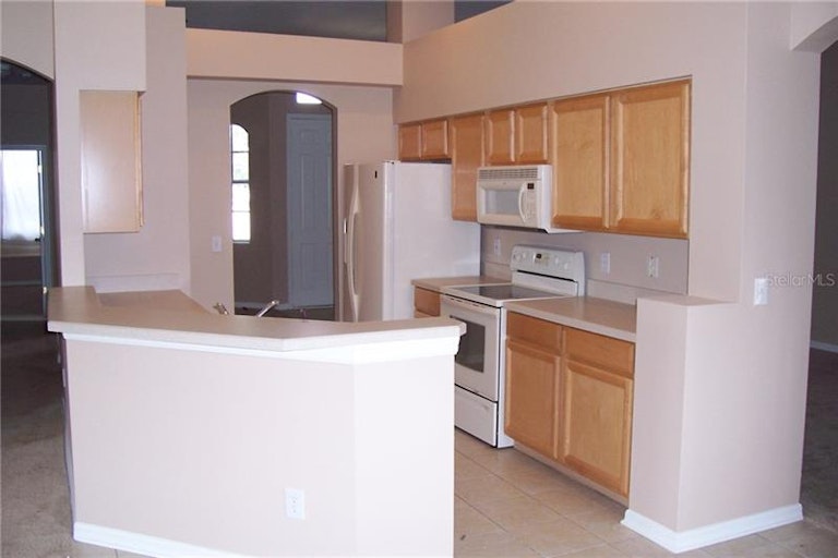 Photo 4 of 24 - 10924 Australian Pine Dr, Riverview, FL 33579