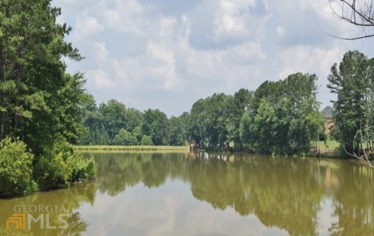 Photo 39 of 39 - 265 Millhaven Lndg, Fayetteville, GA 30215