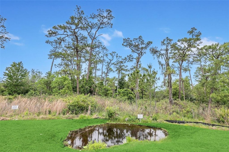 Photo 27 of 31 - 2048 Napoli Dr, Saint Cloud, FL 34771