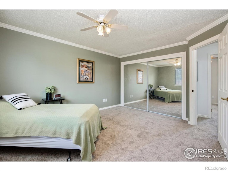 Photo 14 of 30 - 4689 E 115th Ct, Thornton, CO 80233
