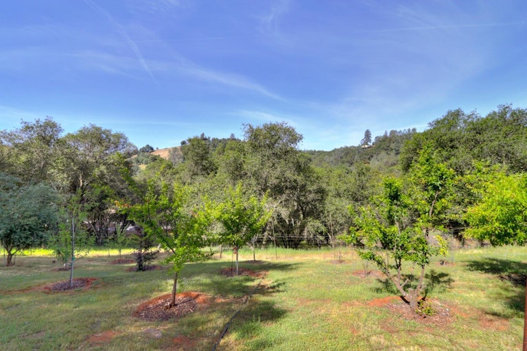 Photo 72 of 98 - 4540 Meadow Creek Rd, Placerville, CA 95667