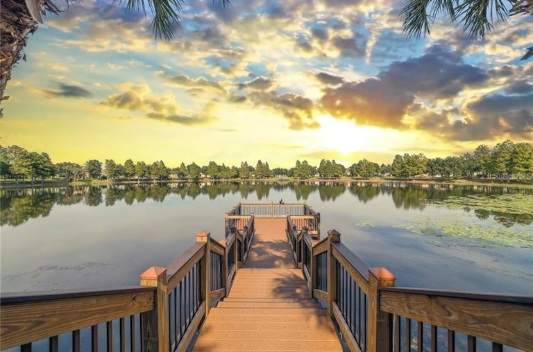 Photo 25 of 25 - 14083 Ancilla Blvd, Windermere, FL 34786